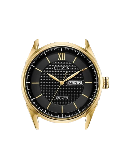 Eco-Drive AW0089-52E con Correa de piel de becerro vintage marrón — Patina natural