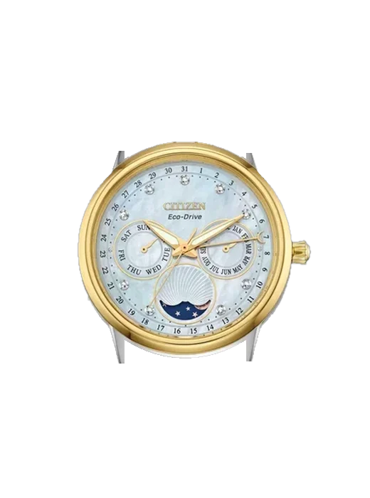 Eco-Drive FD0004-51D mit Vintage Kalbslederarmband Braun — Natürliche Patina
