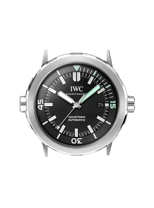 GST Aquatimer IW3288-03 con Correa de piel de becerro vintage marrón — Patina natural