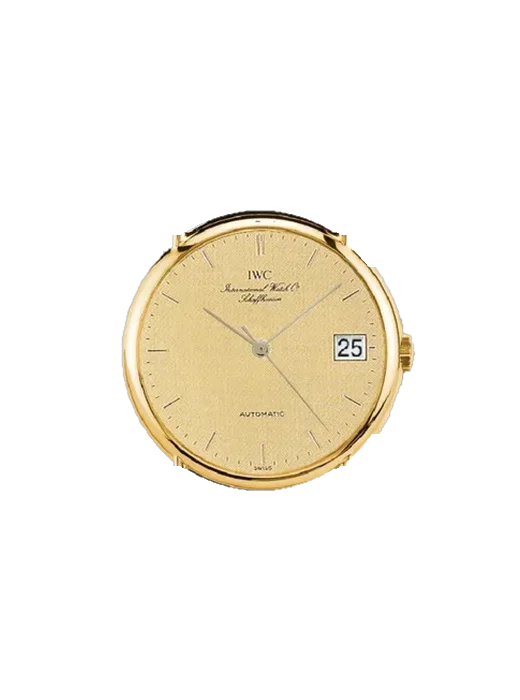 Portofino IW3513-02 with Vintage Brown Calfskin Strap — Natural Patina