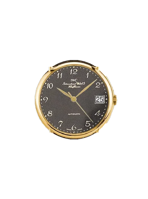 Portofino IW3513-04 con Cinturino Vitello Vintage Marrone — Patina Naturale