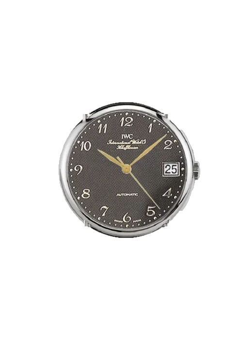 Portofino IW3513-21 con Correa de piel de becerro vintage marrón — Patina natural