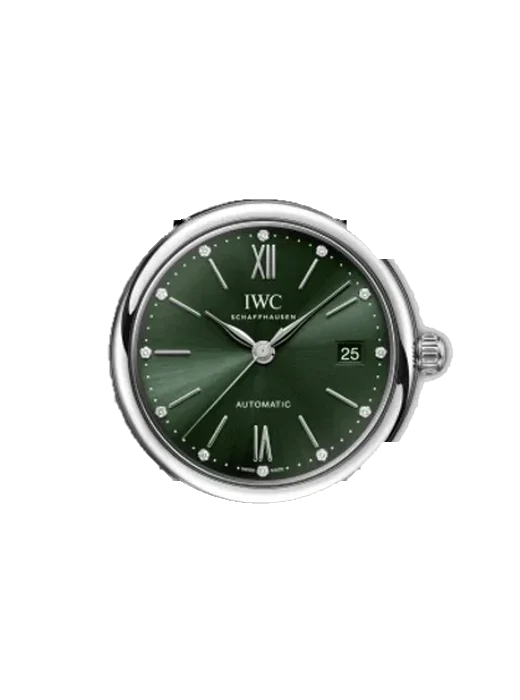 Portofino IW4586-02 con Correa de piel de becerro vintage marrón — Patina natural