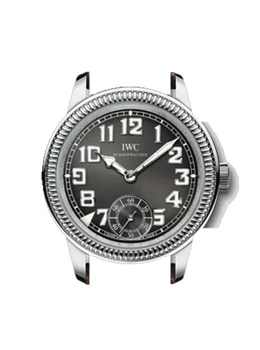 Vintage Collection IW3254-04 avec Bracelet de montre en cuir de veau vintage marron — Patine naturelle