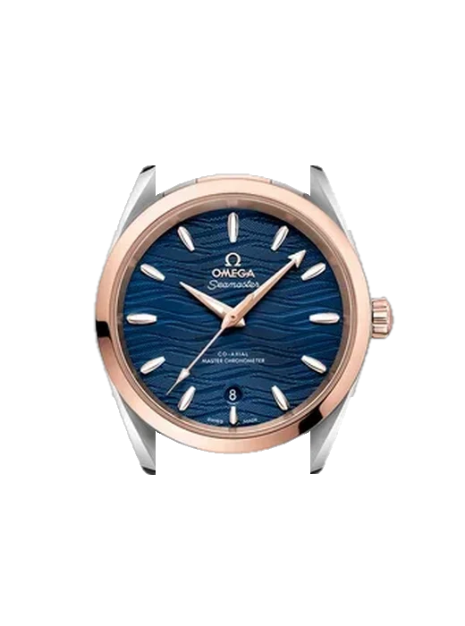 Aqua Terra 220.20.38.20.03.001 avec Bracelet de montre en cuir de veau vintage marron — Patine naturelle