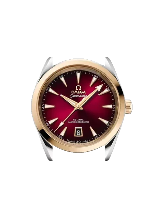 Aqua Terra 220.20.38.20.10.002 avec Bracelet de montre en cuir de veau vintage marron — Patine naturelle