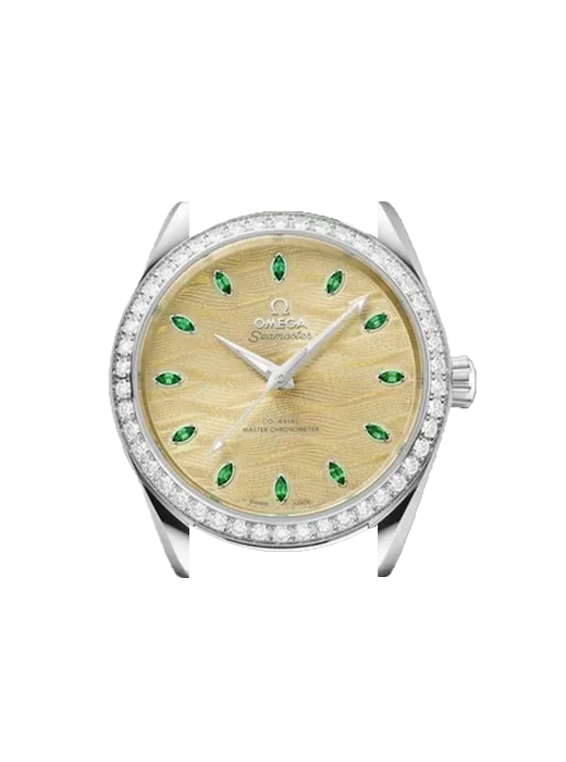 Aqua Terra 220.58.38.20.99.008 avec Bracelet de montre en cuir de veau vintage marron — Patine naturelle