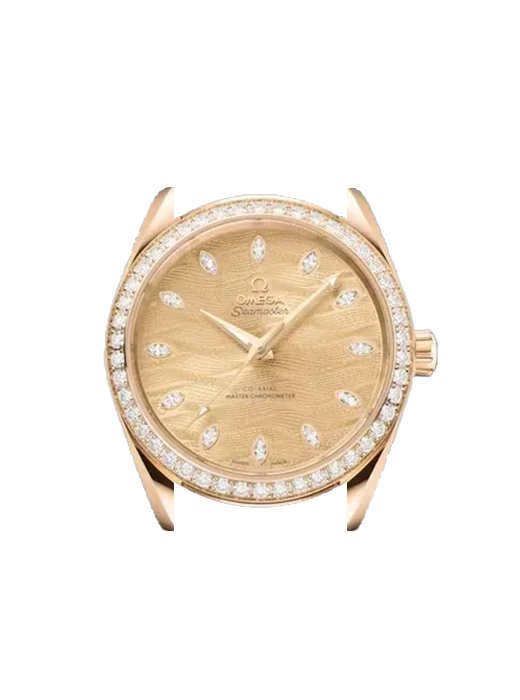 Aqua Terra 220.55.38.20.99.002 avec Bracelet de montre en cuir de veau vintage marron — Patine naturelle