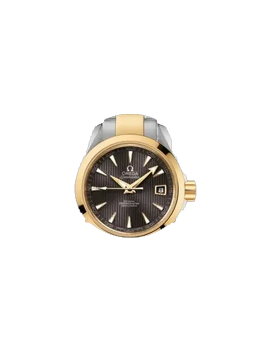 Aqua Terra 231.20.30.20.06.002 avec Bracelet en cuir Swift Rouge