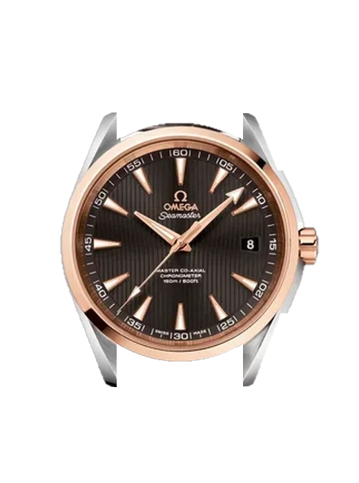 Aqua Terra 231.23.42.21.06.003 avec Bracelet Hybride Alligator et Caoutchouc Bleu
