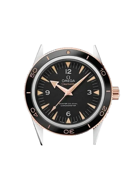 Seamaster 300 233.20.41.21.01.001 con Correa de piel italiana marrón