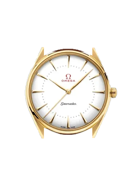 Seamaster 522.53.40.20.04.001 with Grand Cavalier Leather Strap Orange