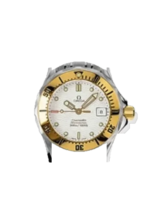 Seamaster Diver 300M 2482.20.00 with Grand Cavalier Leather Strap Orange