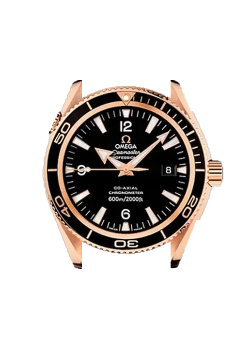Seamaster Planet Ocean 222.60.42.20.01.001 mit Grand Cavalier Cuir Armband Orange