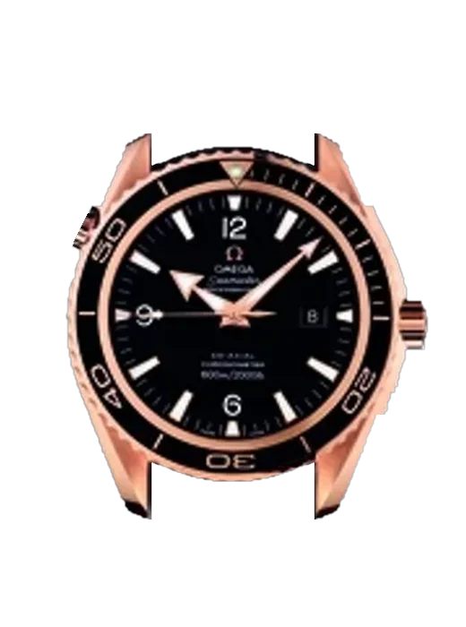 Seamaster Planet Ocean 222.62.46.20.01.001 with Grand Cavalier Leather Strap Orange