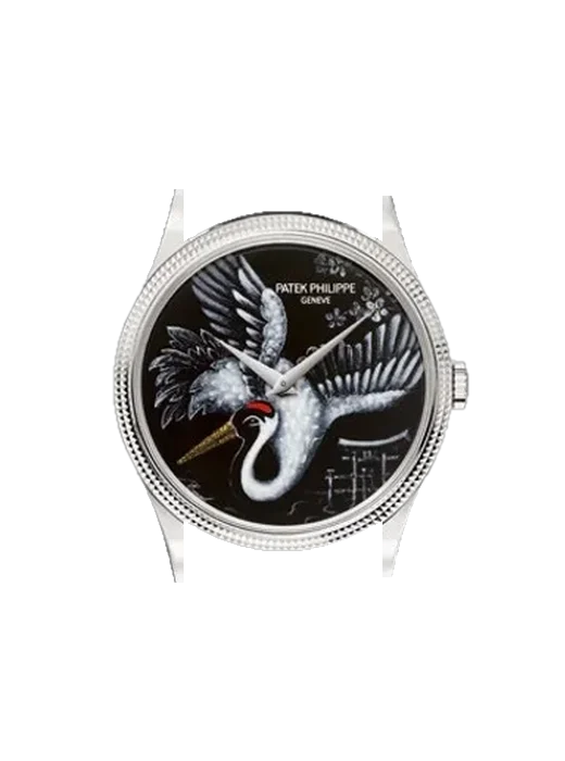 Calatrava 5177G-034 con Cinturino Alligatore Nubuck Nero con Cucitura Sur Tone a Mano