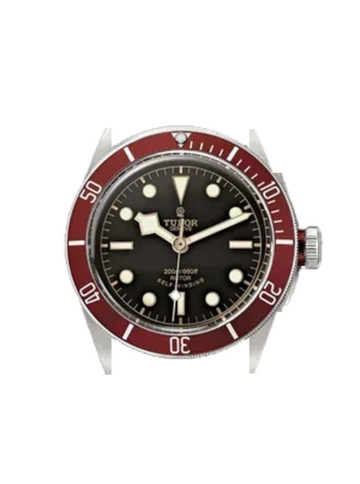 Black Bay 79220R with Vintage Brown Calfskin Strap — Natural Patina
