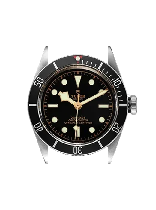Black Bay 79230N-0001 con Correa de piel de becerro vintage marrón — Patina natural