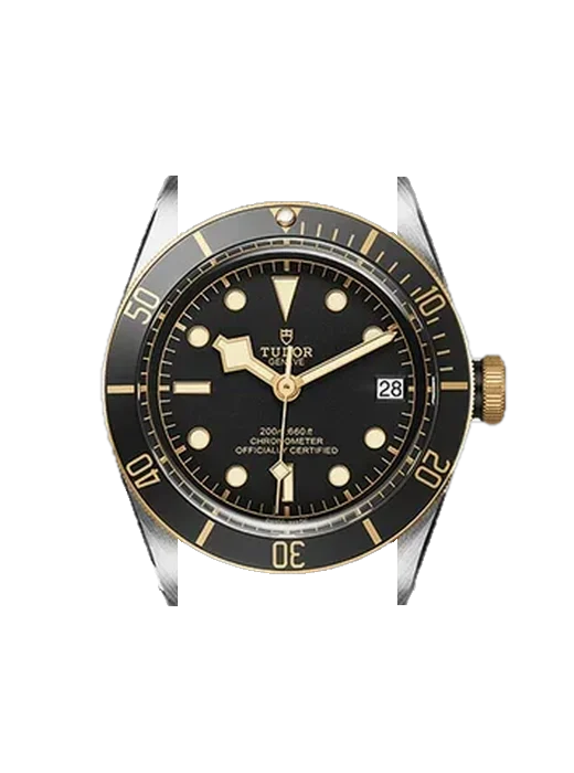 Black Bay 79733N-0002 with Brown Italian Leather Strap