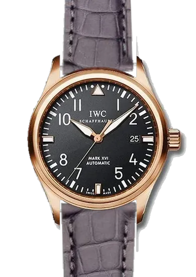 Pilot IW3255-15 con Correa de cocodrilo gris oscuro mate