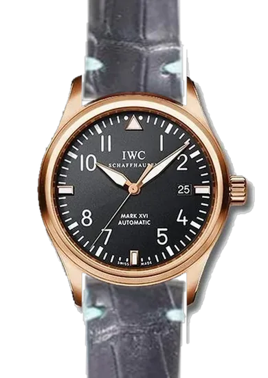 Pilot IW3255-15 con Correa de cocodrilo negra con bordes azules
