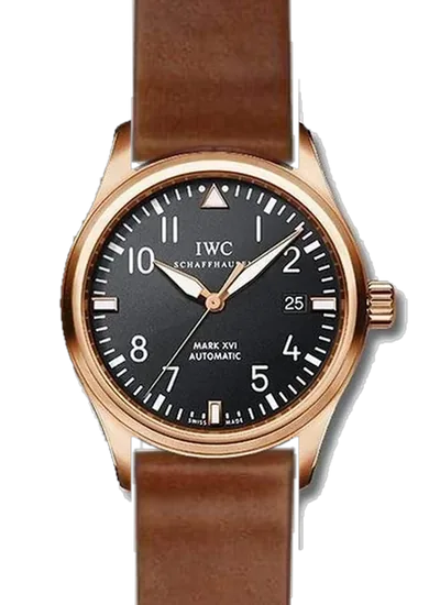 Pilot IW3255-15 con Correa de cordobán marrón sin costuras