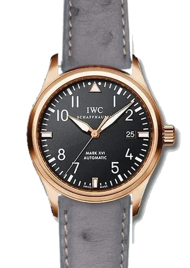 Pilot IW3255-15 con Correa de avestruz gris