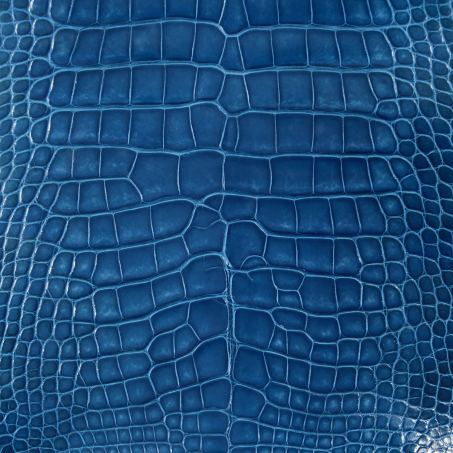 Pelle di alligatore della Louisiana lucido, colore blu: una delle pelli dell'atelier Casati Milano