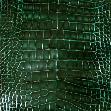 Pelle di alligatore della Louisiana lucido, colore verde smeraldo: una delle pelli dell'atelier Casati Milano