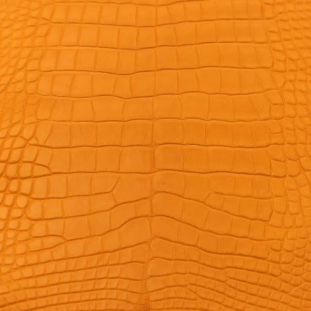 Pelle di alligatore della Louisiana opaco, colore arancio: una delle pelli dell'atelier Casati Milano